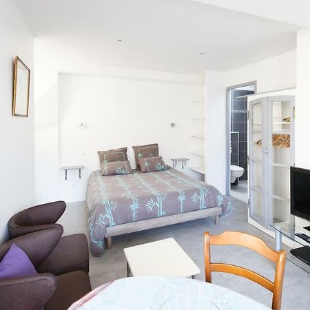 Apartament Studio Le Nid Du Saleys Salies-de-Béarn Zewnętrze zdjęcie